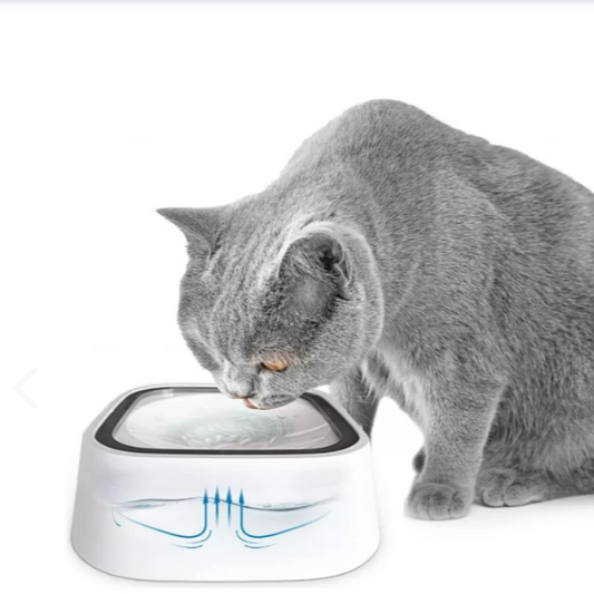 Bebedero Antiderrame para perros y gatos