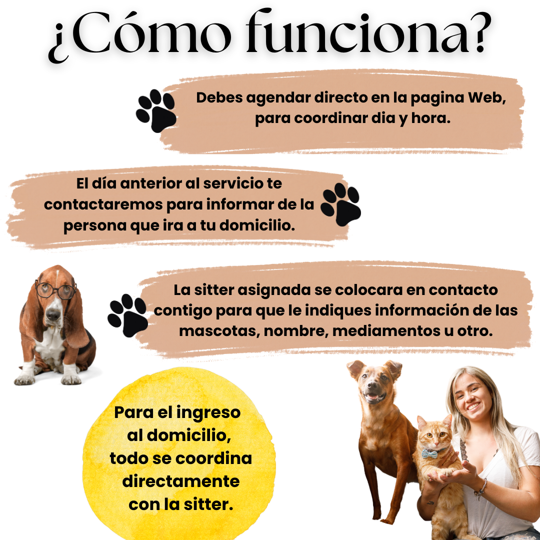 Paseos y juegos