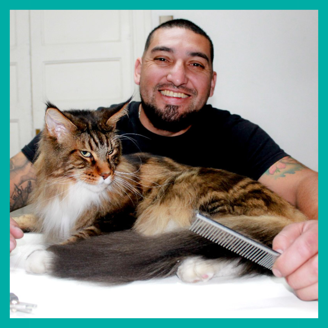 Peluquería Felina