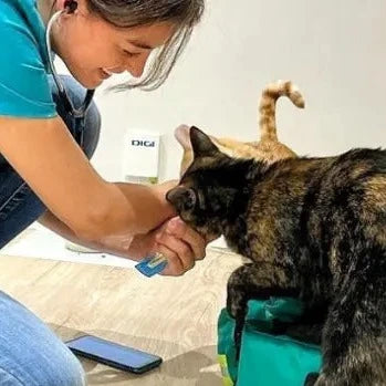 VETERINARIO A DOMICILIO