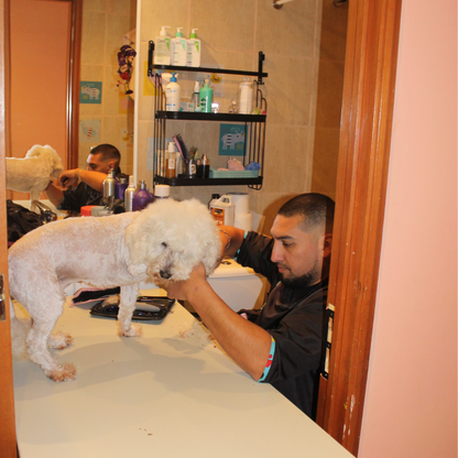 Peluquería Perro Pequeño (hasta 4 Kg)