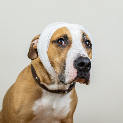 💉 Servicio de Curaciones a Domicilio