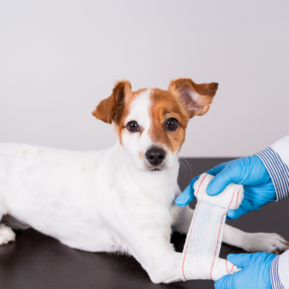 💉 Servicio de Curaciones a Domicilio