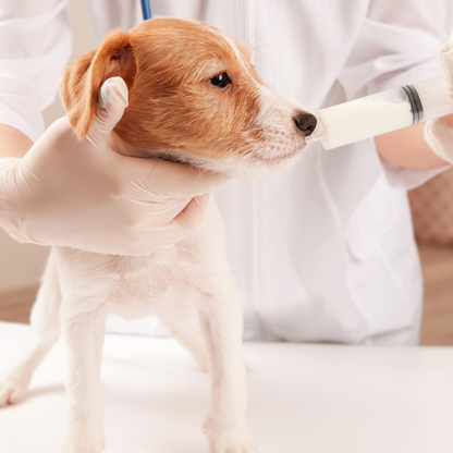 💉 Servicio de Curaciones a Domicilio