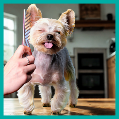 Peluquería Perro Pequeño (hasta 7 Kg)