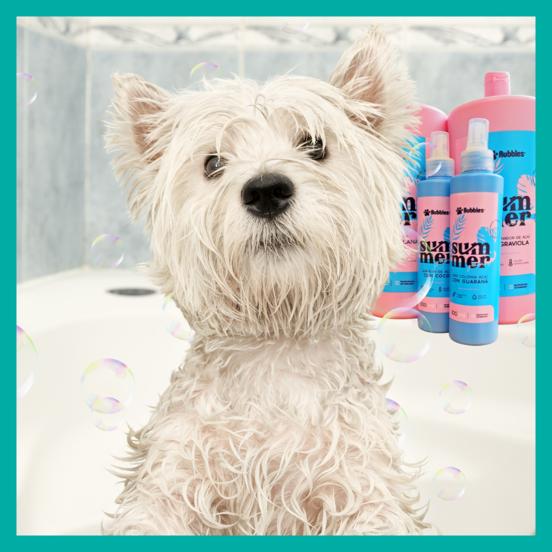 Baño Sensorial Premium 🌴