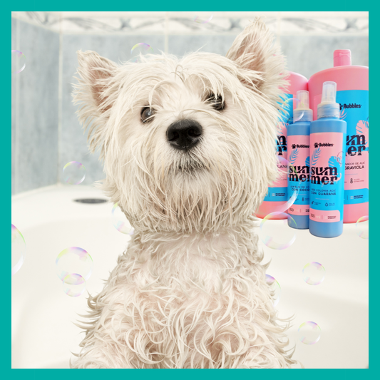 Baño Sensorial Premium 🌴