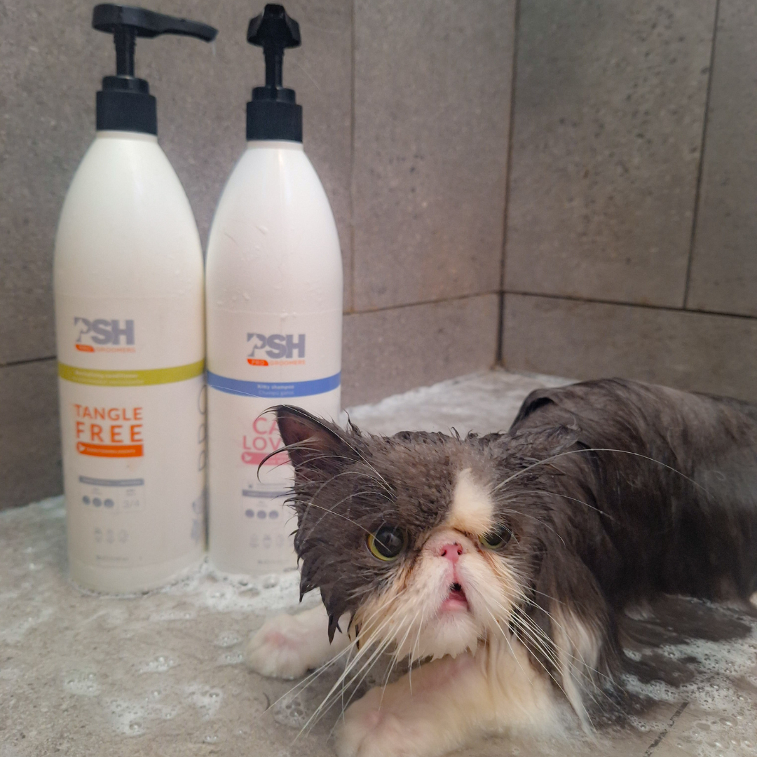 Baño para gato