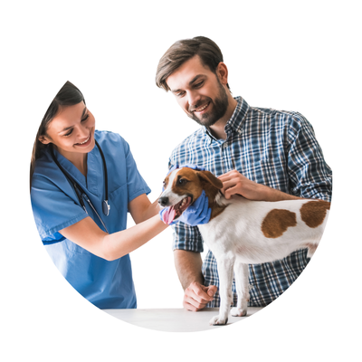 Visita suministro de medicamentos