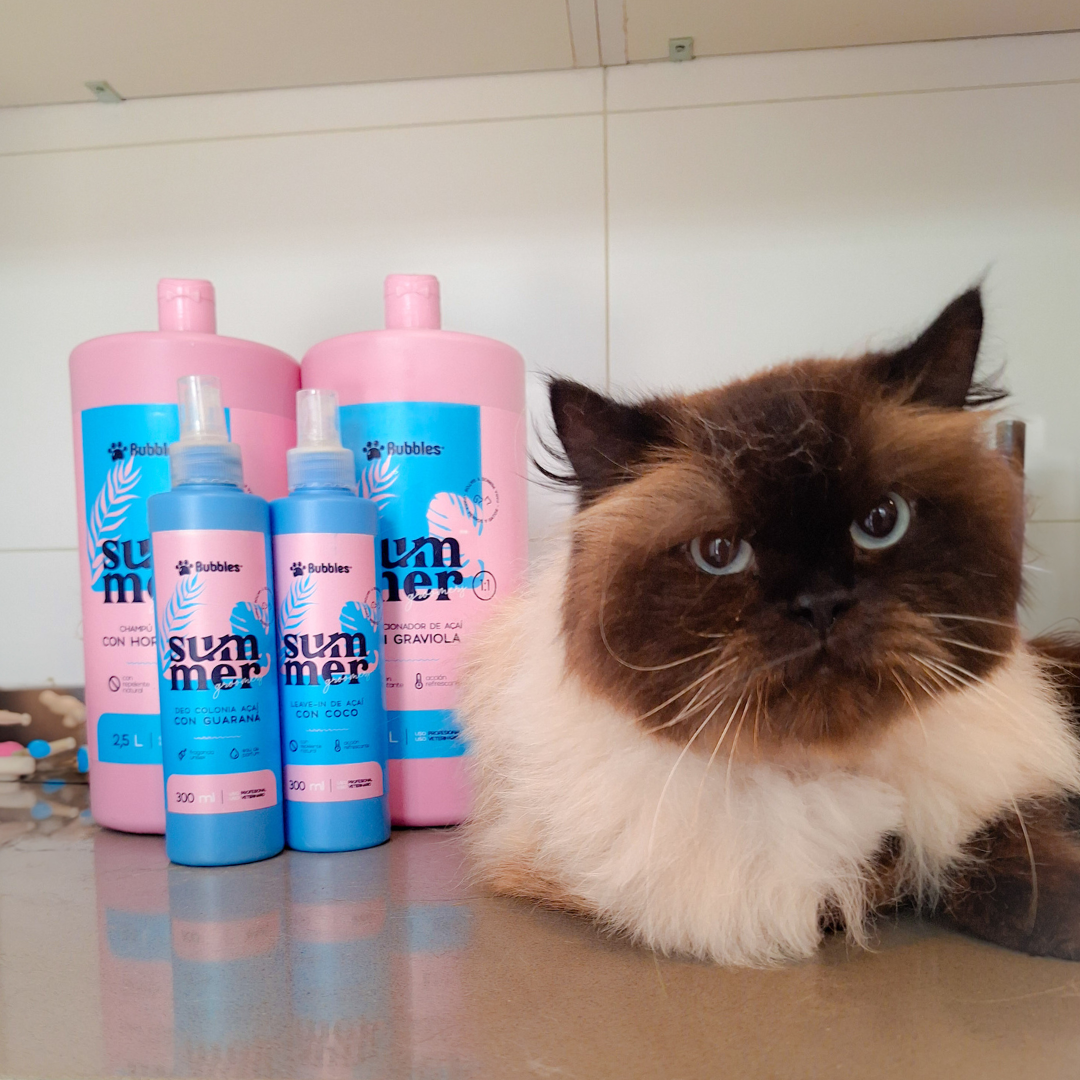 Peluquería Felina
