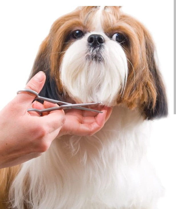 Peluquería Pequeño (6 - 12 Kg)