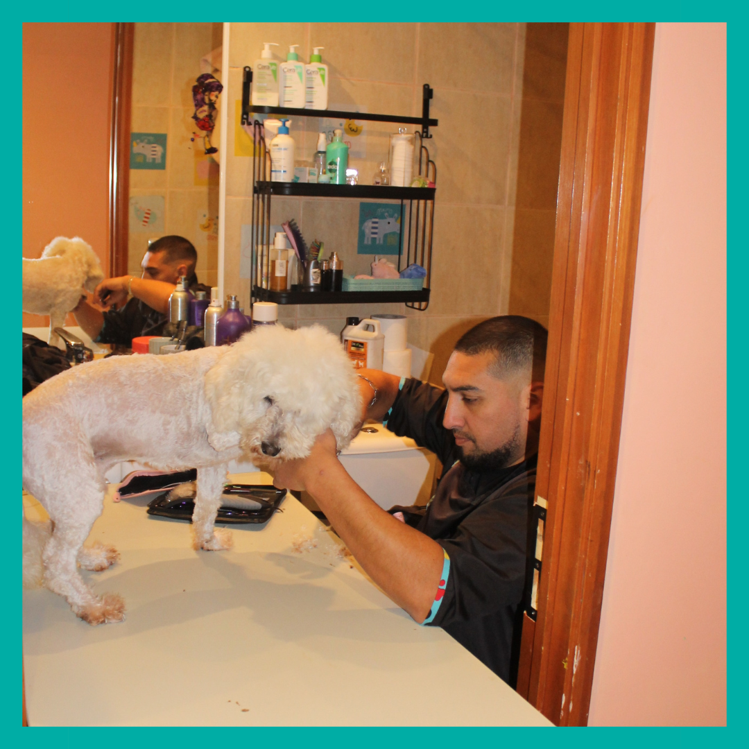 Peluquería Perro Pequeño (hasta 8 Kg)