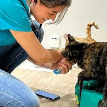 Desparasitación Completa a Domicilio